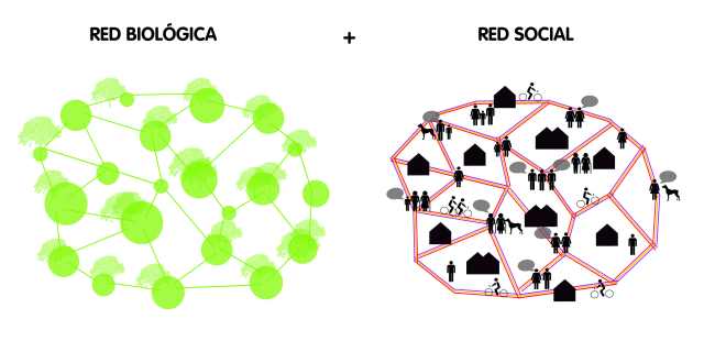 BUM red biológica + red social 01